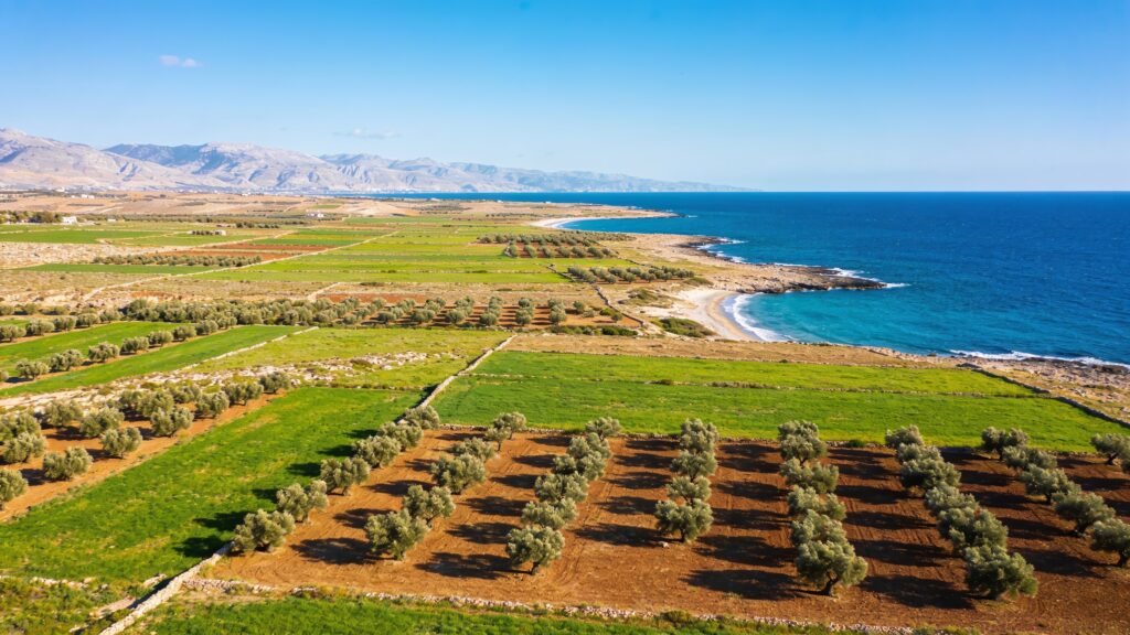 أراضي للبيع في طرطوس