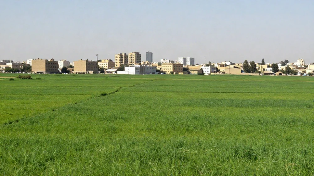 أراضي زراعية للبيع في ادلب